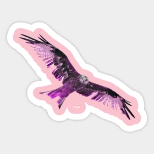 eagle pink / Swiss Artwork Photography Sticker